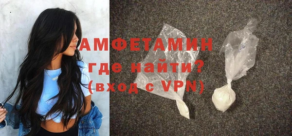 стаф Ельня