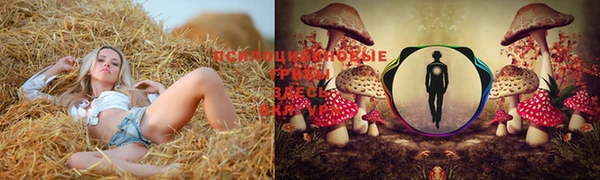прущие крисы Белокуриха