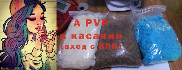 прущие крисы Белокуриха