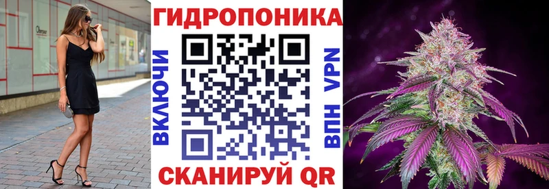 Бошки Шишки гибрид  кракен ТОР  Ершов 